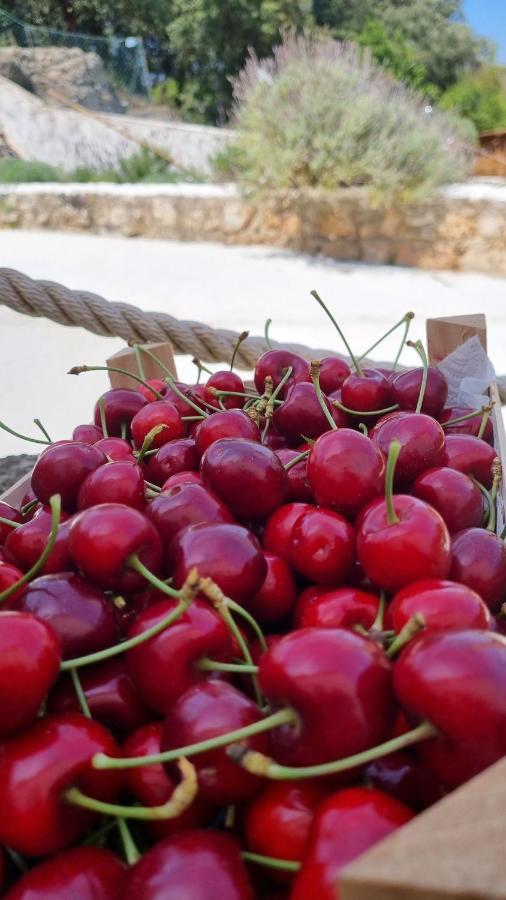 Finca Sa Cova De Mallorca Sencelles Buitenkant foto