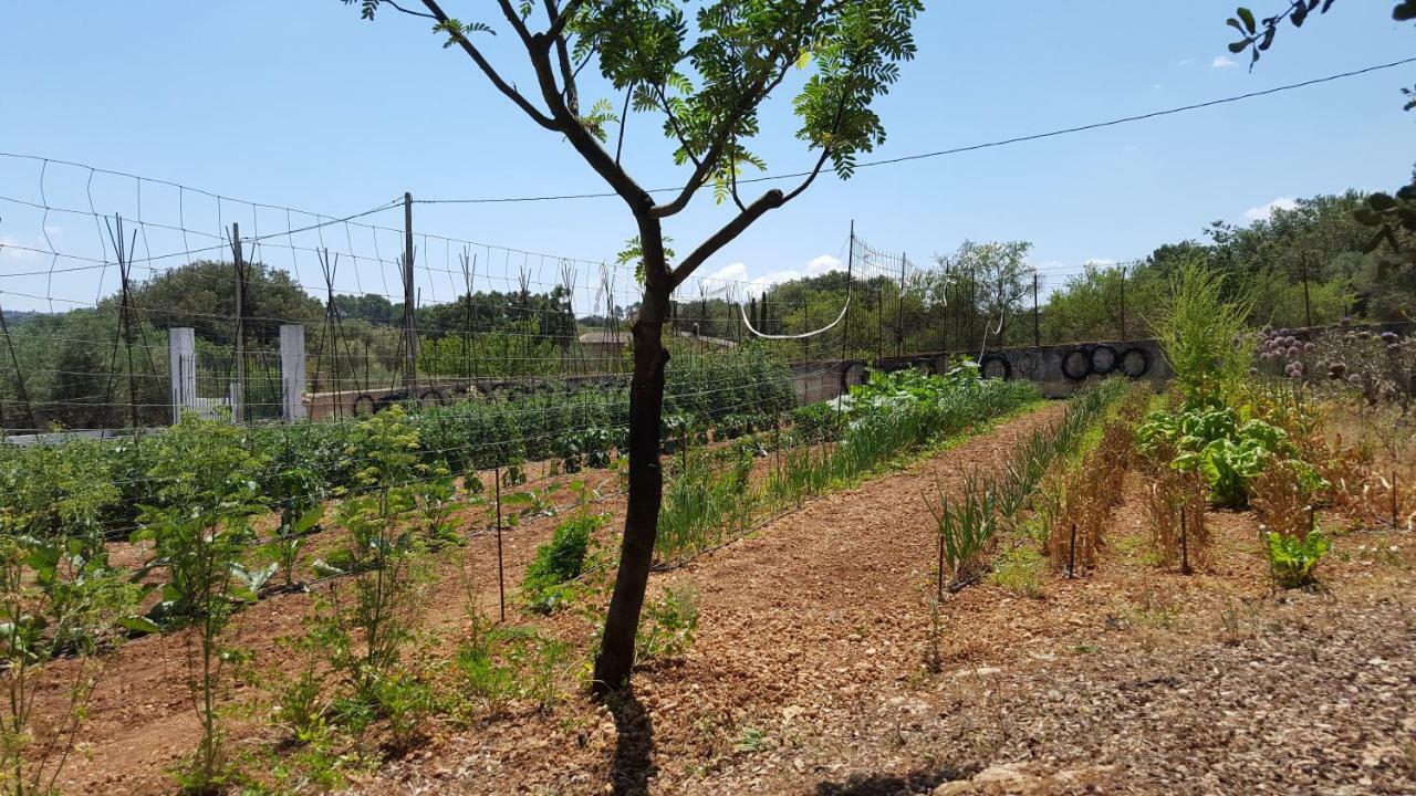 Finca Sa Cova De Mallorca Sencelles Buitenkant foto