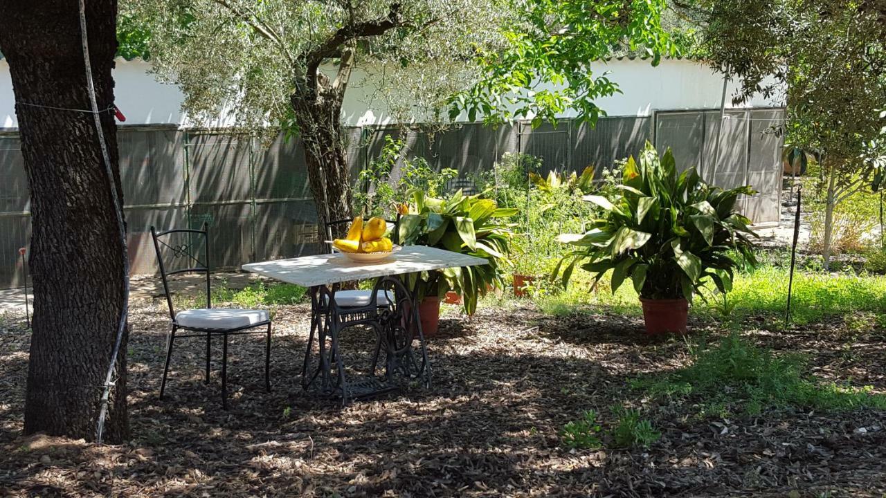 Finca Sa Cova De Mallorca Sencelles Buitenkant foto