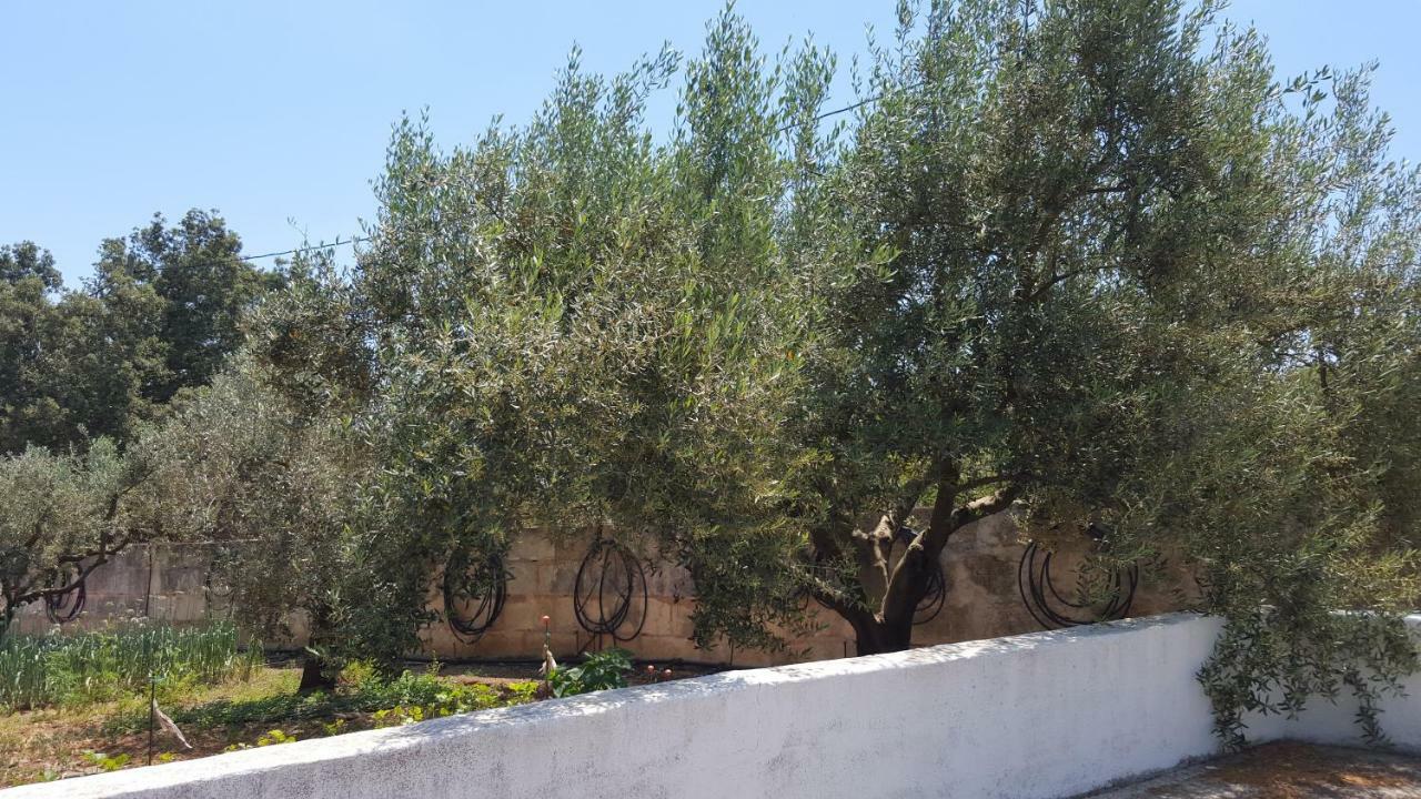 Finca Sa Cova De Mallorca Sencelles Buitenkant foto