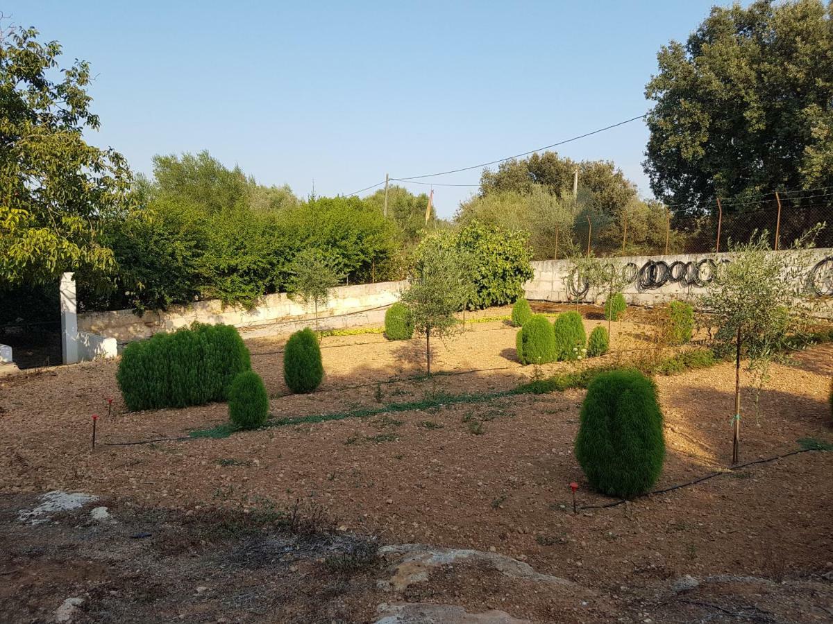 Finca Sa Cova De Mallorca Sencelles Buitenkant foto