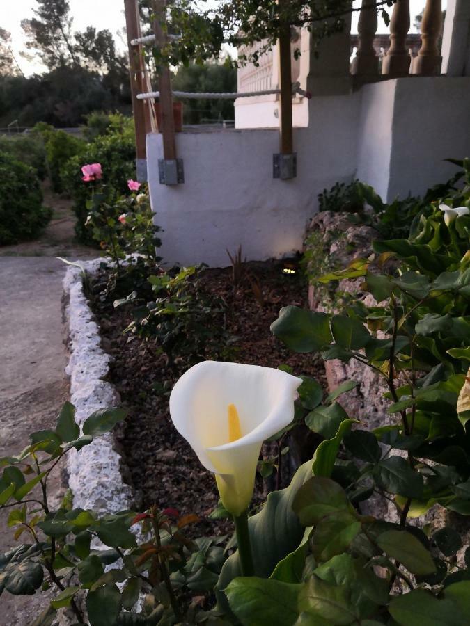 Finca Sa Cova De Mallorca Sencelles Buitenkant foto