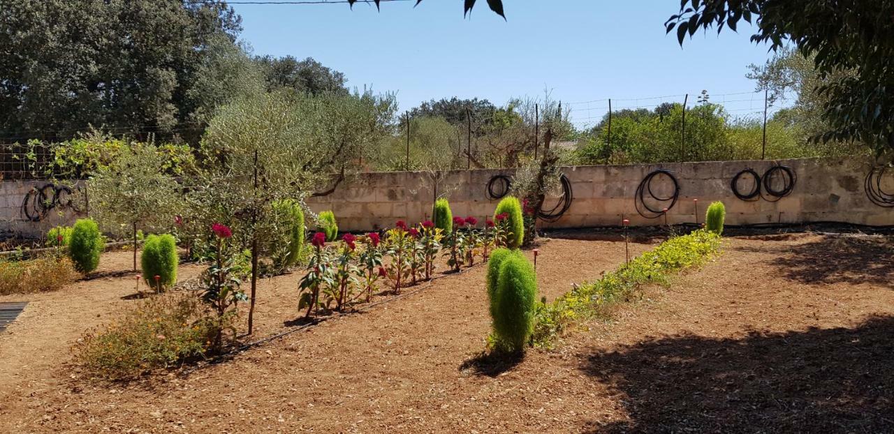 Finca Sa Cova De Mallorca Sencelles Buitenkant foto